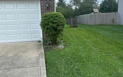 Photo of Charles T.'s yard after getting landscaping in Pendleton, IN