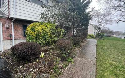 Photo of Catherine C.'s yard after getting landscaping in West Harrison, NY