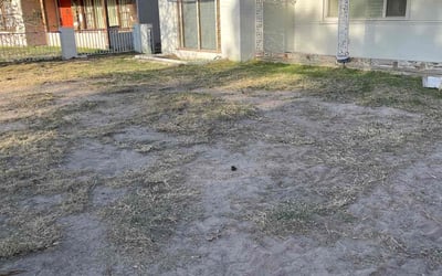 Photo of Janice B.'s yard after getting landscaping in Boulder City, NV