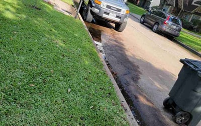 Photo of Ashley W.'s yard after getting landscaping in Liberty, TX