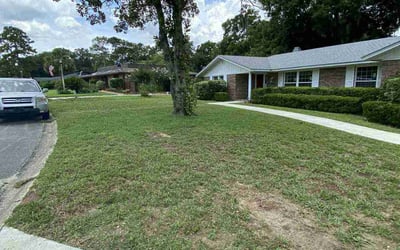 Photo of Sarah V.'s yard after getting tree care in Ponte Vedra Beach, FL