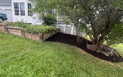 Photo of Sal S.'s yard after getting tree care in Gaithersburg, MD