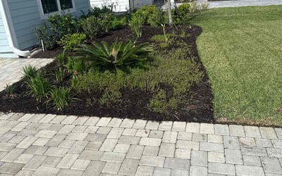 Photo of Matthew S.'s yard after getting landscaping in Saint Johns, FL