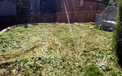 Photo of Jason C.'s yard after getting landscaping in Como, CO