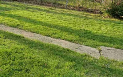 Photo of Amelia J.'s yard after getting landscaping in Sheridan, IN