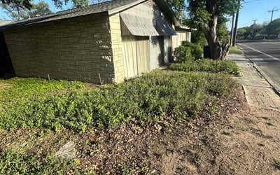 Photo of Gwendolyn D.'s yard after getting landscaping in Adkins, TX