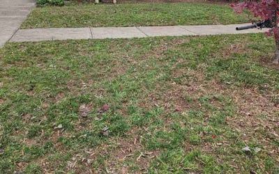 Photo of Ashley W.'s yard after getting landscaping in Mount Ulla, NC