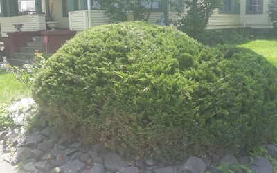 Photo of Lori O.'s yard after getting landscaping in Colville, WA