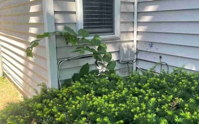 Photo of Michael H.'s yard after getting landscaping in Fairland, IN