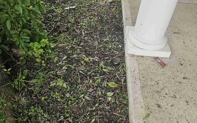 Photo of Stephanie P.'s yard after getting landscaping in Edinburgh, IN
