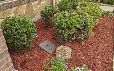 Photo of Deborah H.'s yard after getting landscaping in Mckinney, TX