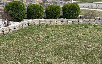 Photo of Rashida B.'s yard after getting landscaping in Pataskala, OH