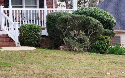 Photo of Tanya M.'s yard after getting landscaping in Molena, GA