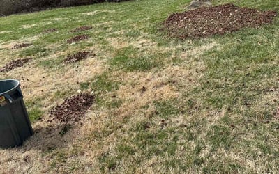 Photo of Jean H.'s yard after getting landscaping in Dayton, OH