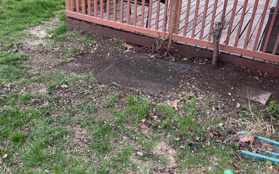 Photo of Gail M.'s yard after getting landscaping in Piqua, OH