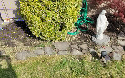 Photo of Diana M.'s yard after getting landscaping in Hockessin, DE