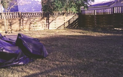 Photo of Mario H.'s yard after getting landscaping in Martindale, TX