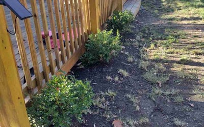 Photo of Rebecca F.'s yard after getting landscaping in Bealeton, VA