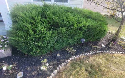 Photo of Greg T.'s yard after getting landscaping in Milford Center, OH