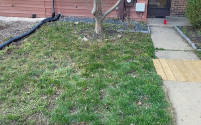 Photo of Leslie B.'s yard after getting landscaping in Penns Grove, NJ