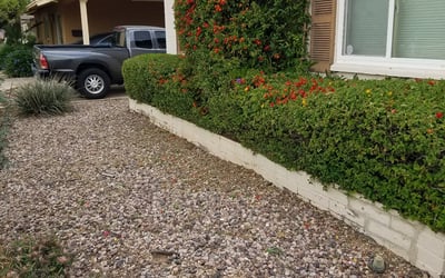 Photo of Ryan V.'s yard after getting landscaping in Sacaton, AZ