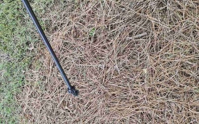 Photo of David K.'s yard after getting landscaping in Alpharetta, GA