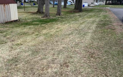 Photo of Patrick F.'s yard after getting landscaping in Wethersfield, CT