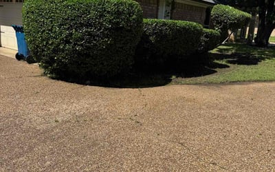 Photo of Aaron M.'s yard after getting landscaping in Grapevine, TX