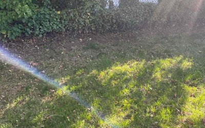 Photo of Jennifer C.'s yard after getting landscaping in Melville, NY