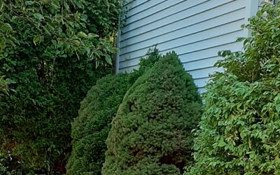 Photo of Charles G.'s yard after getting landscaping in Medfield, MA