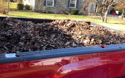 Photo of Chris L.'s yard after getting landscaping in Perkasie, PA
