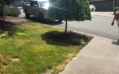 Photo of David S.'s yard after getting landscaping in Silvana, WA