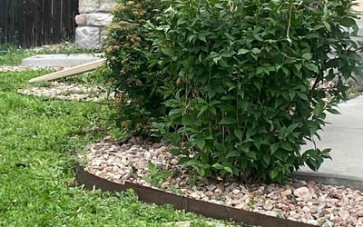 Photo of Jason H.'s yard after getting landscaping in Cripple Creek, CO