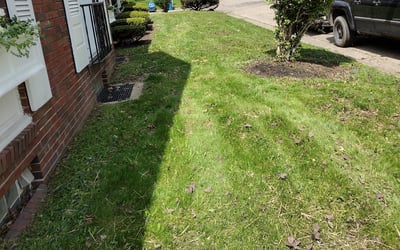 Photo of Deborah D.'s yard after getting landscaping in Cloverdale, IN
