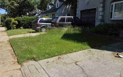 Photo of Edison W.'s yard after getting lawn care in Patchogue, NY