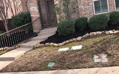 Photo of Gail M.'s yard after getting landscaping in Irving, TX