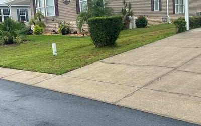Photo of James M.'s yard after getting landscaping in Zephyrhills, FL