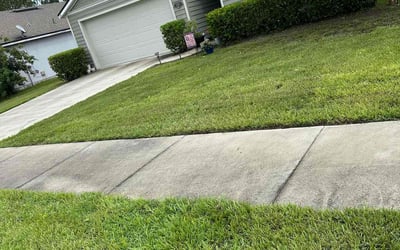 Photo of Jerry W.'s yard after getting tree care in Keystone Heights, FL