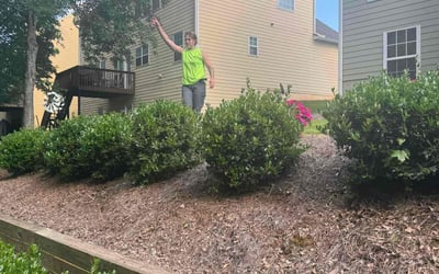 Photo of Chelly J.'s yard after getting tree care in Mcdonough, GA