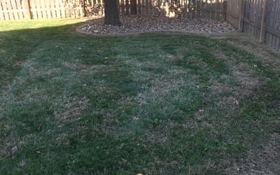 Photo of Jessica C.'s yard after getting lawn care in Platte City, MO