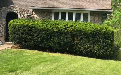 Photo of Brian C.'s yard after getting landscaping in Kidder, MO