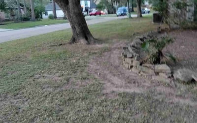 Photo of Jennifer H.'s yard after getting landscaping in Daisetta, TX