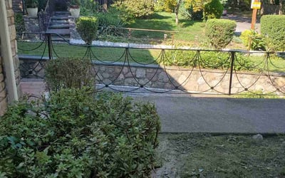 Photo of Constance W.'s yard after getting landscaping in Chadds Ford, PA