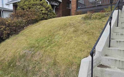 Photo of Christine M.'s yard after getting landscaping in Cranberry Twp, PA