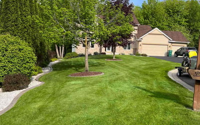 Photo of Joy M.'s yard after getting tree care in Pierz, MN