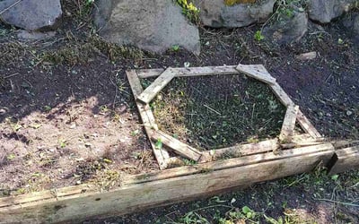 Photo of Angelica R.'s yard after getting landscaping in Seattle, WA