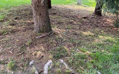 Photo of Christopher S.'s yard after getting landscaping in West Bloomfield, MI