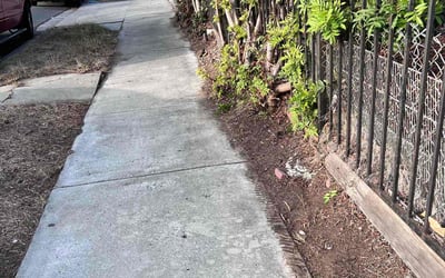 Photo of Amber L.'s yard after getting landscaping in Del Mar, CA