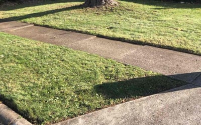 Photo of Kathleen A.'s yard after getting landscaping in London, OH