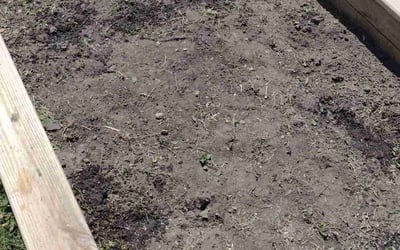 Photo of James L.'s yard after getting landscaping in Sheridan, IN